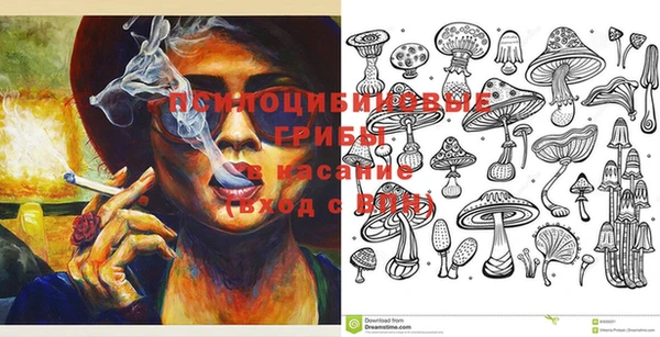спиды Ельня