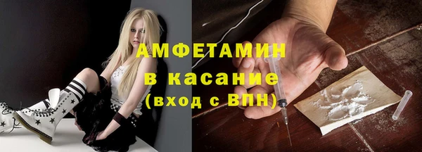 спиды Ельня