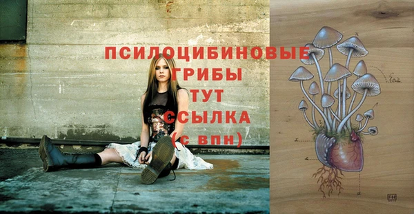 ешки Елизово
