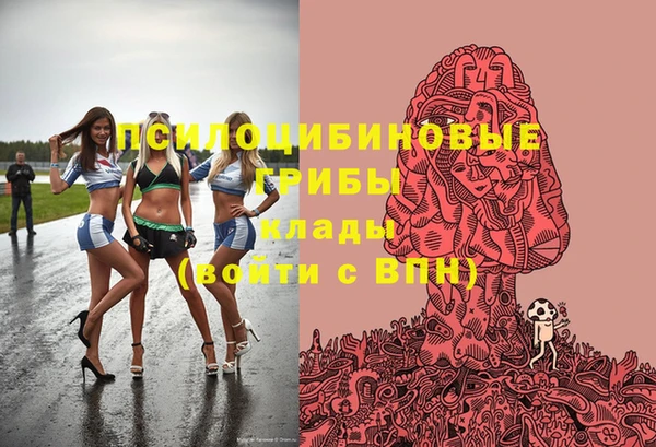 спиды Ельня