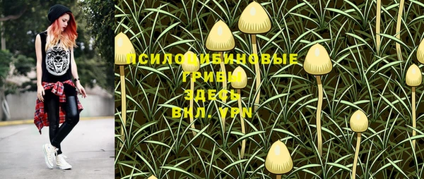 МДМА Дмитровск
