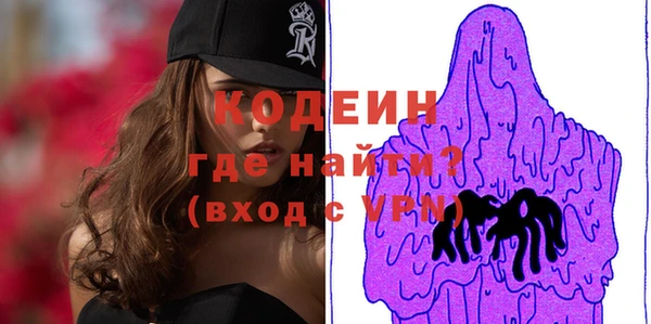 спиды Ельня