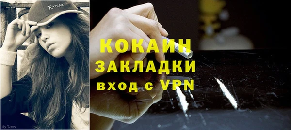 спиды Ельня