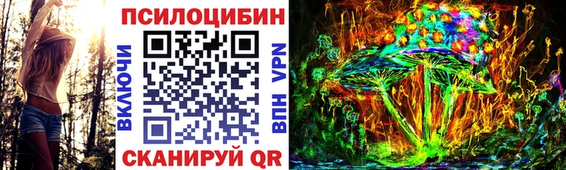Галлюциногенные грибы Psilocybe  Гдов 